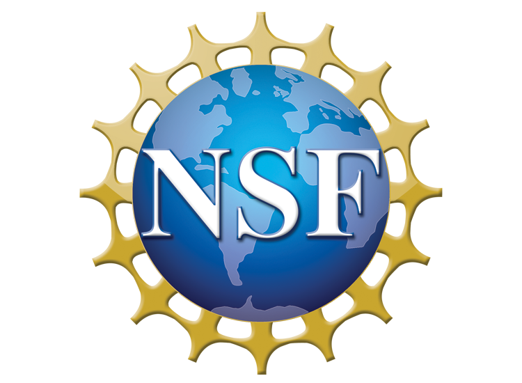 National Science Foundation GRF 2021